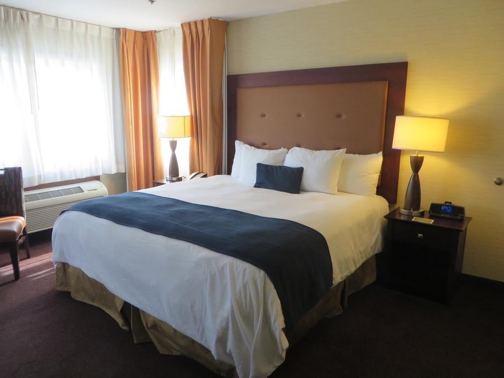 King Suite,113369954:JPEG
