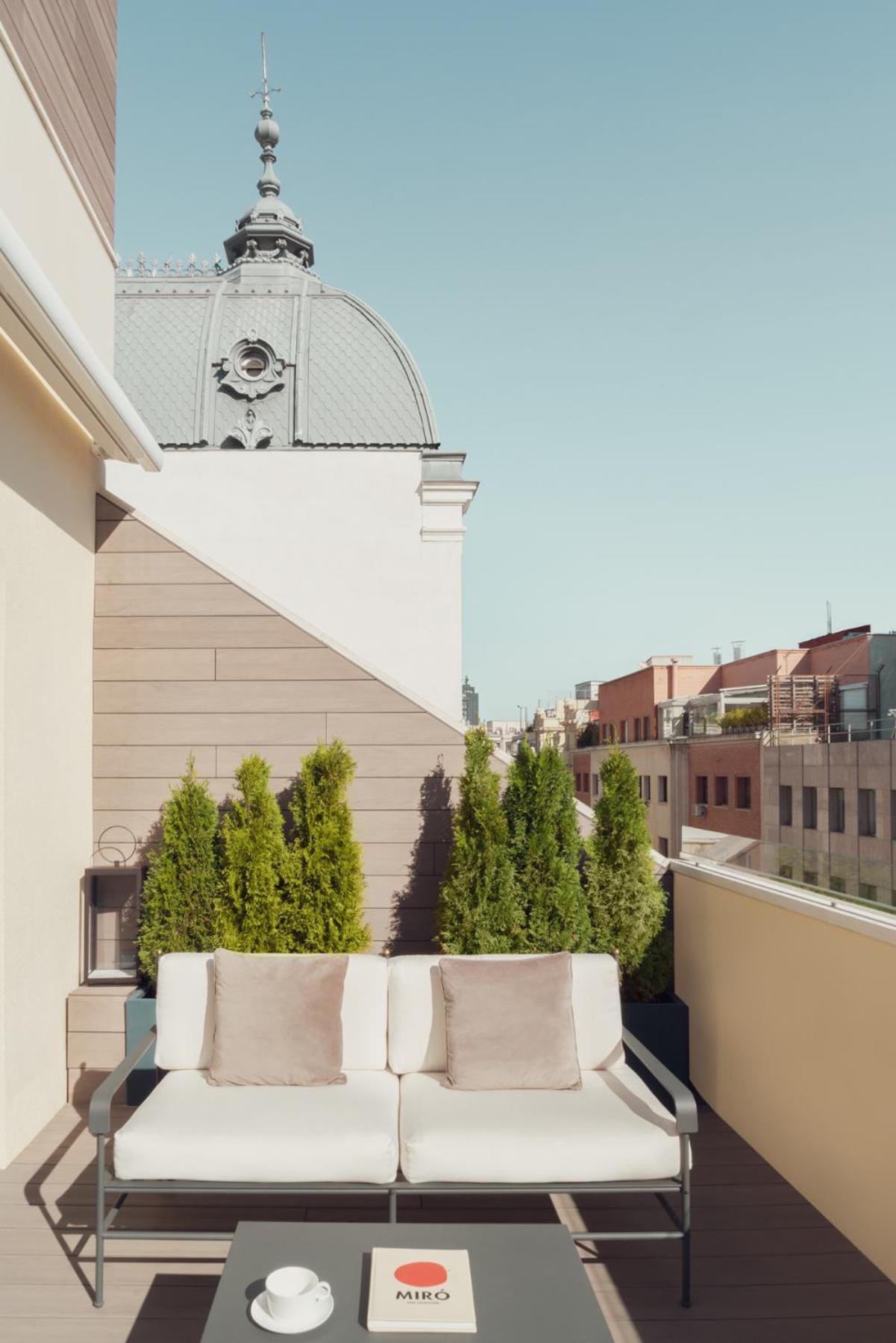 Deluxe Attic Room Terrace