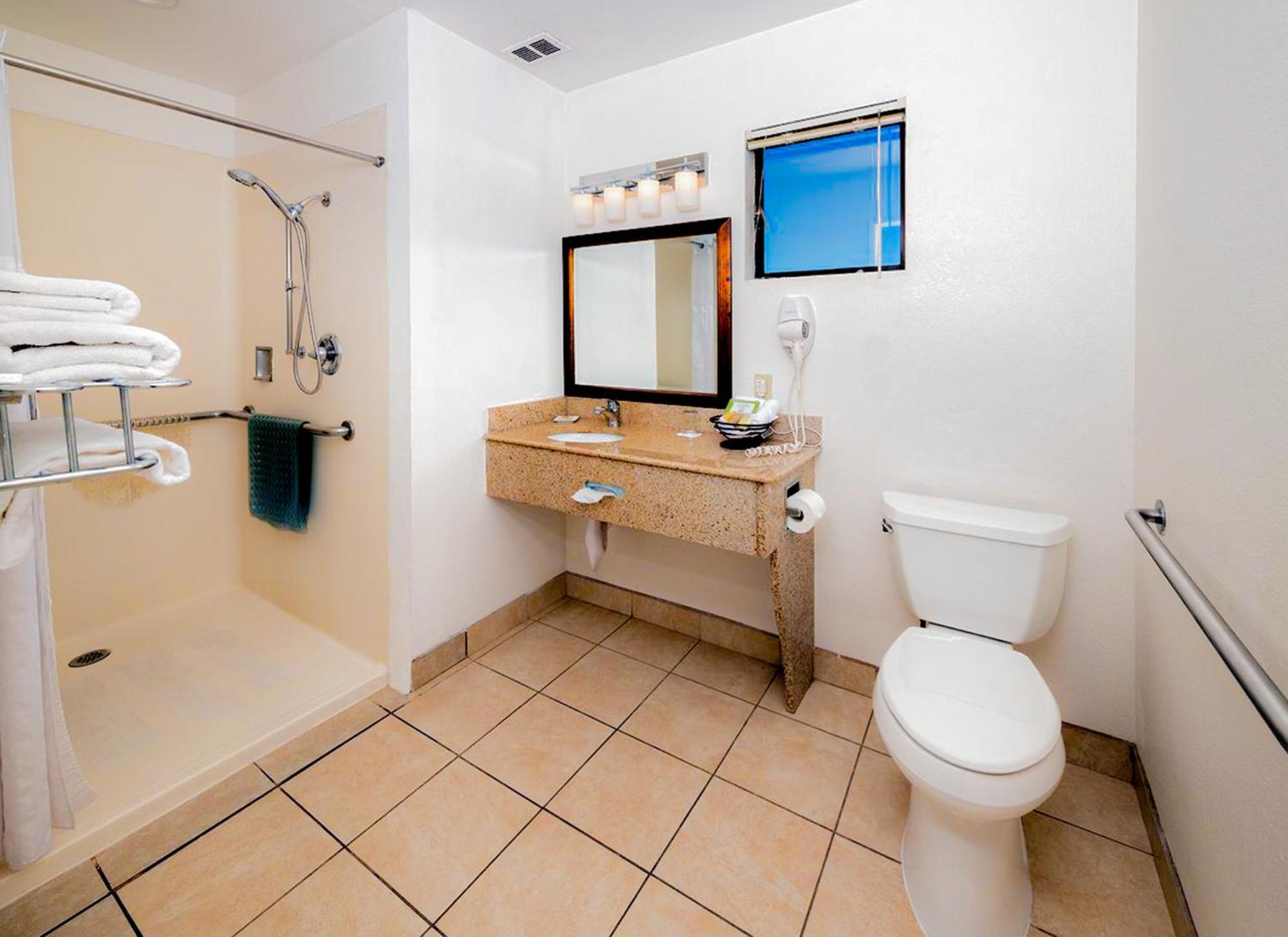 King Room Disability Access