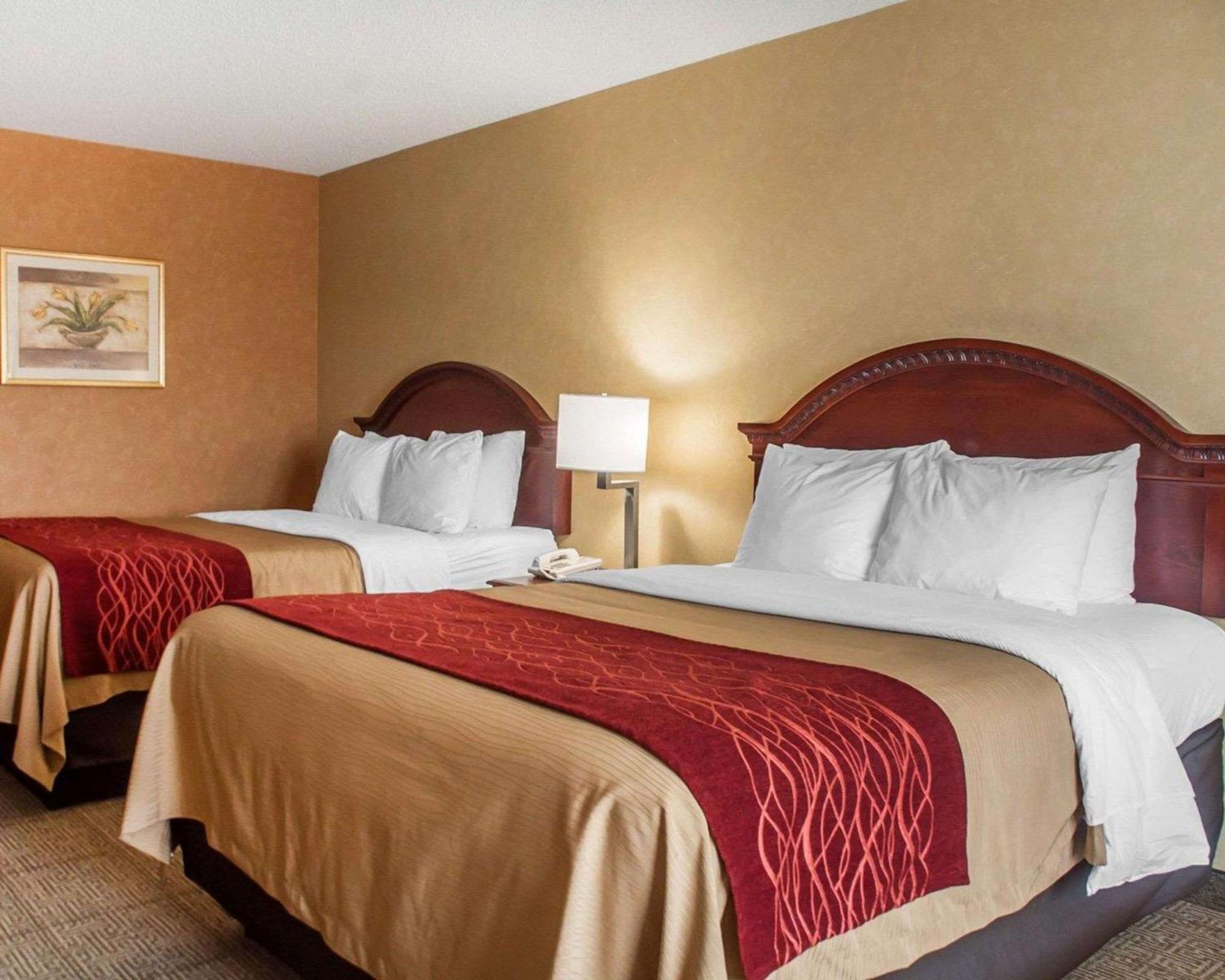 Queen Room with Two Queen Beds - Non-Smoking,1227692036:JPEG
