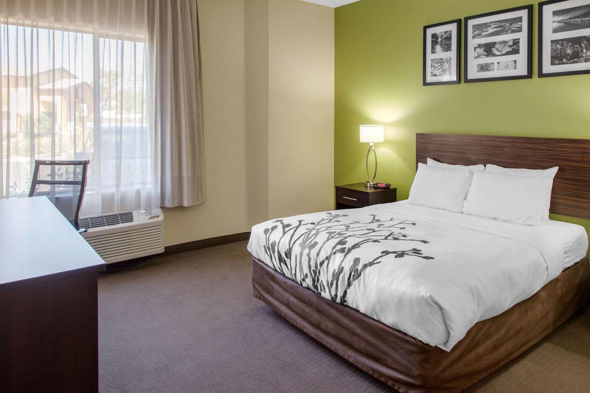 Queen Room,1275893587:JPEG