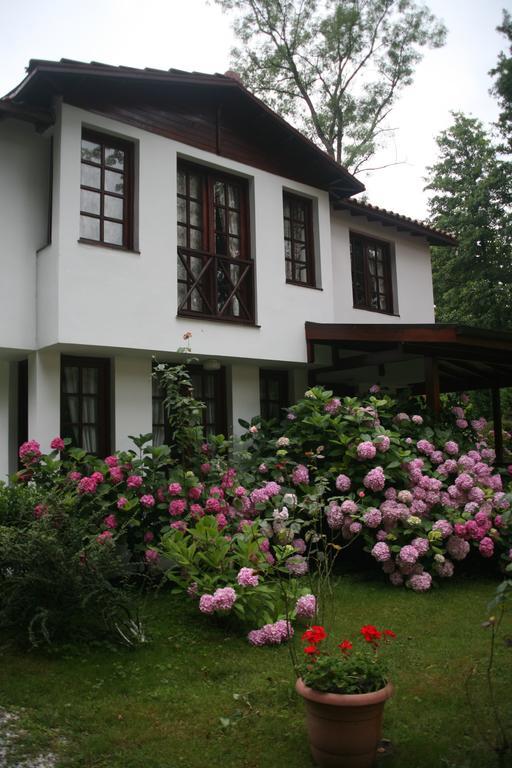 Superior Villa