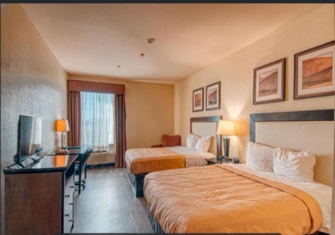 Standard Double Suite,1592200176:JPEG