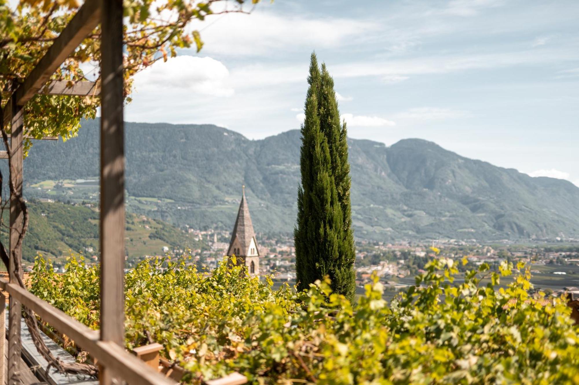 Suite con Terrazza