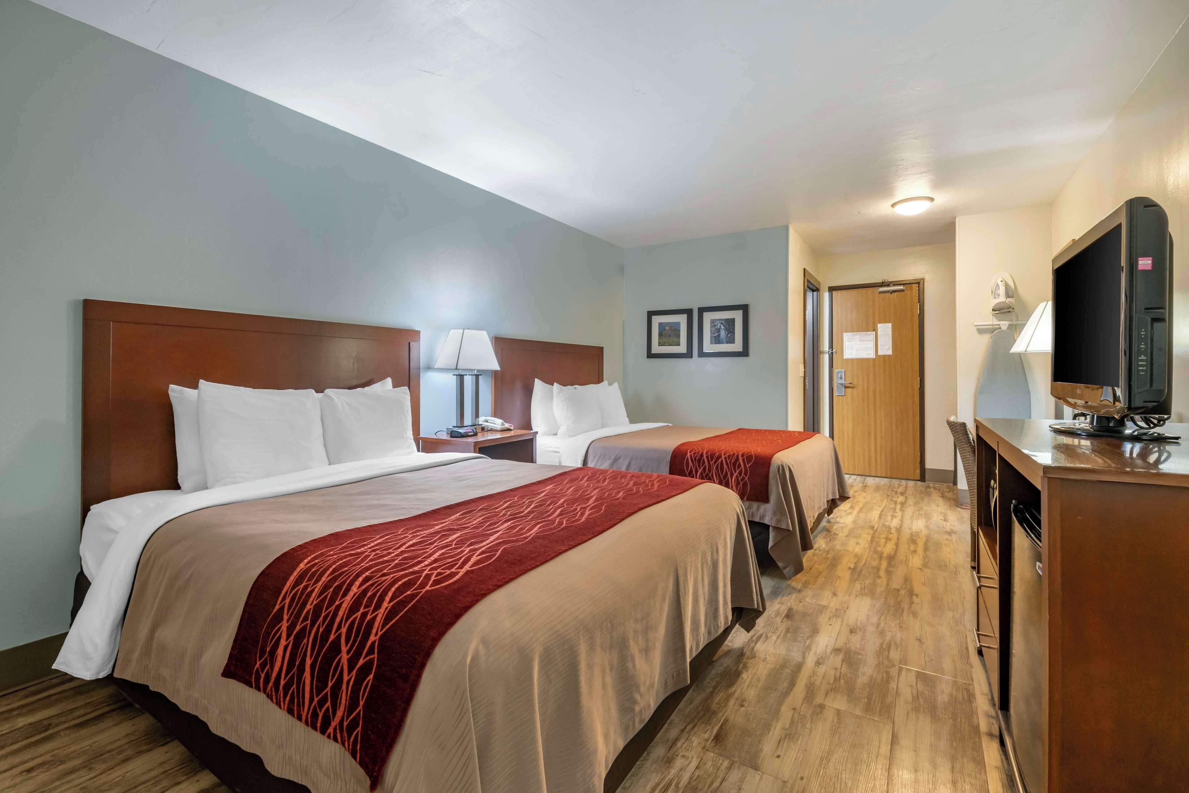 Queen Room Two Queen Beds Non Smoking