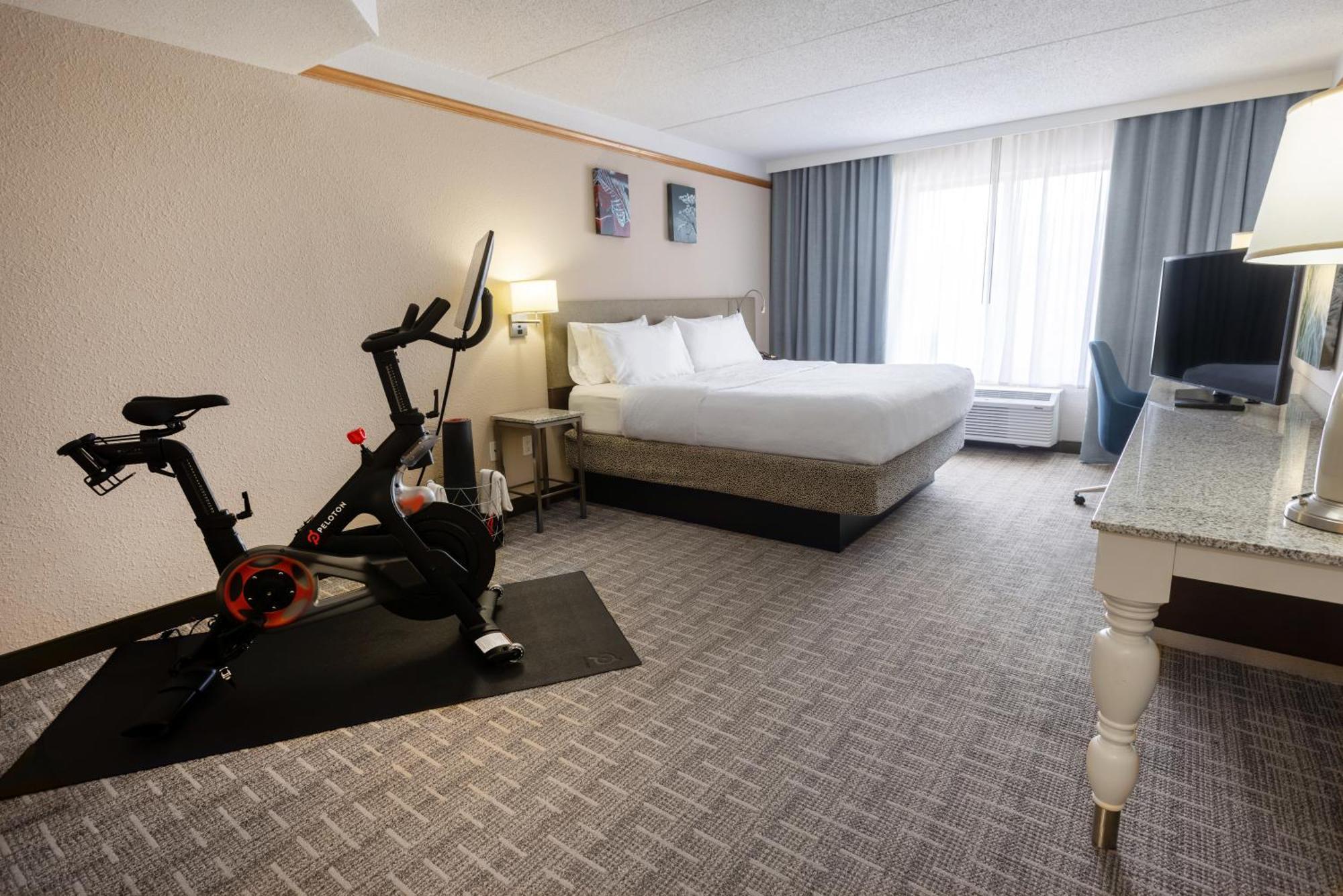 King Room with Peloton Bike,1735183352:JPEG