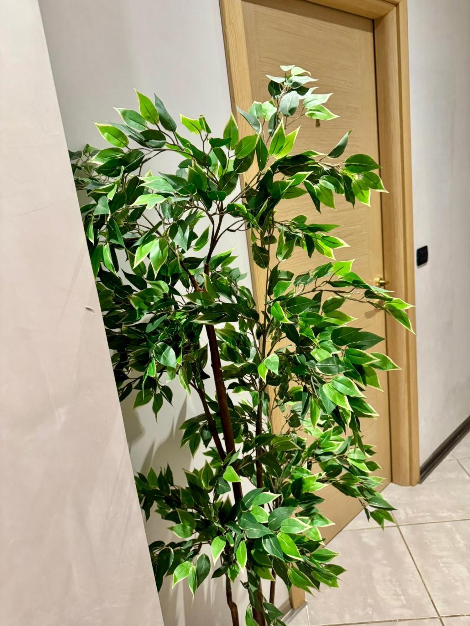 Camera Matrimoniale/Doppia con Letti Singoli con Bagno Privato