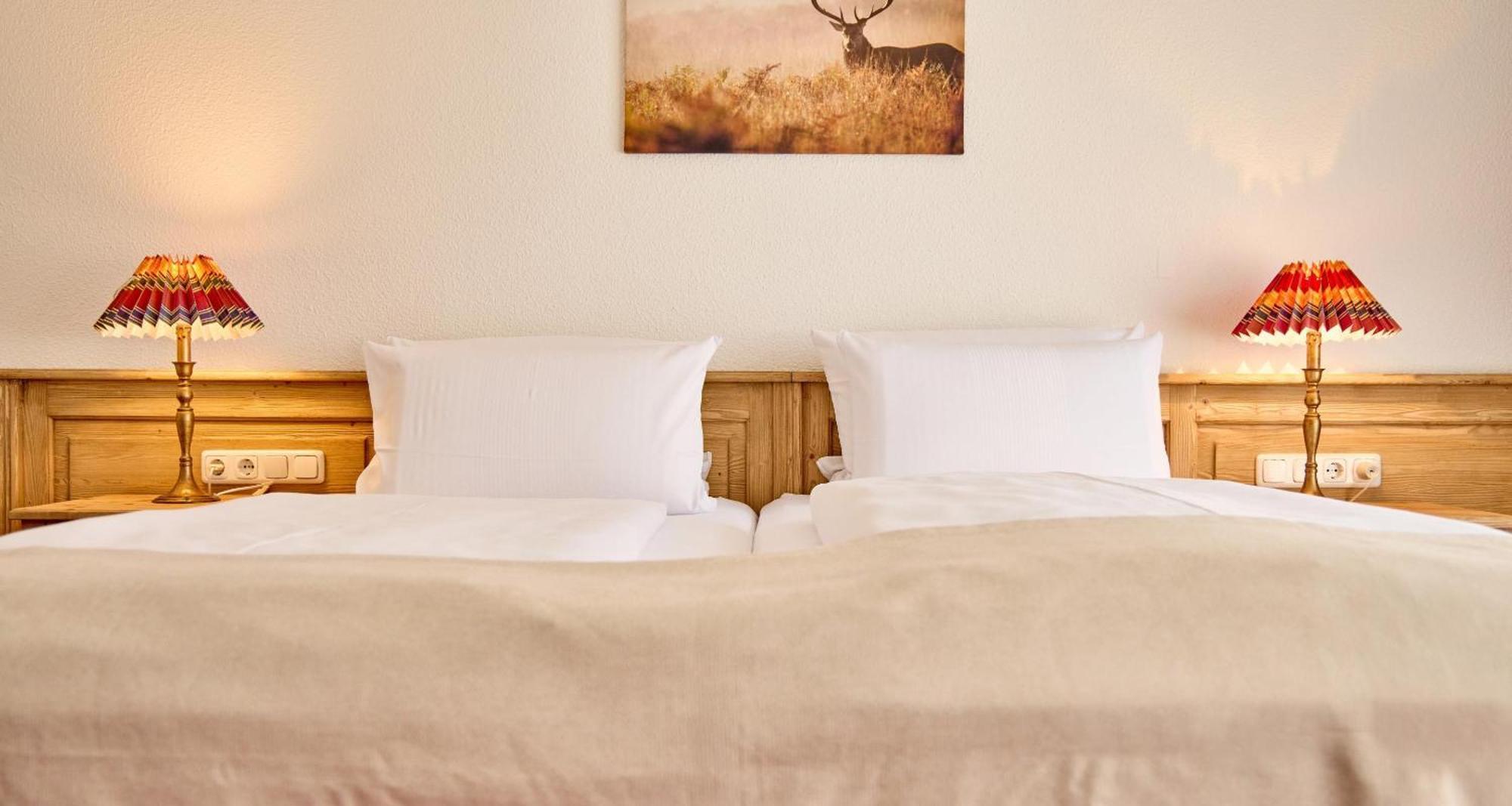 Standard Room One Double Bed One Single Bed Balcony or Separate Building