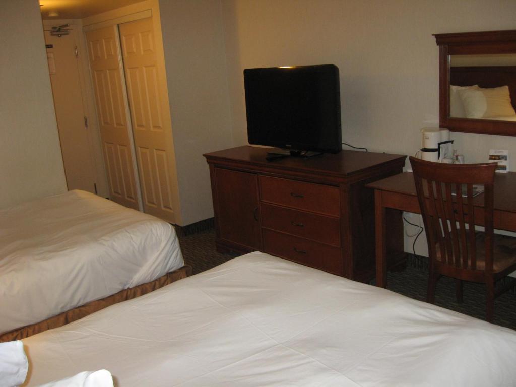 Double Room - Disability Access/Non-Smoking,60861637:JPEG