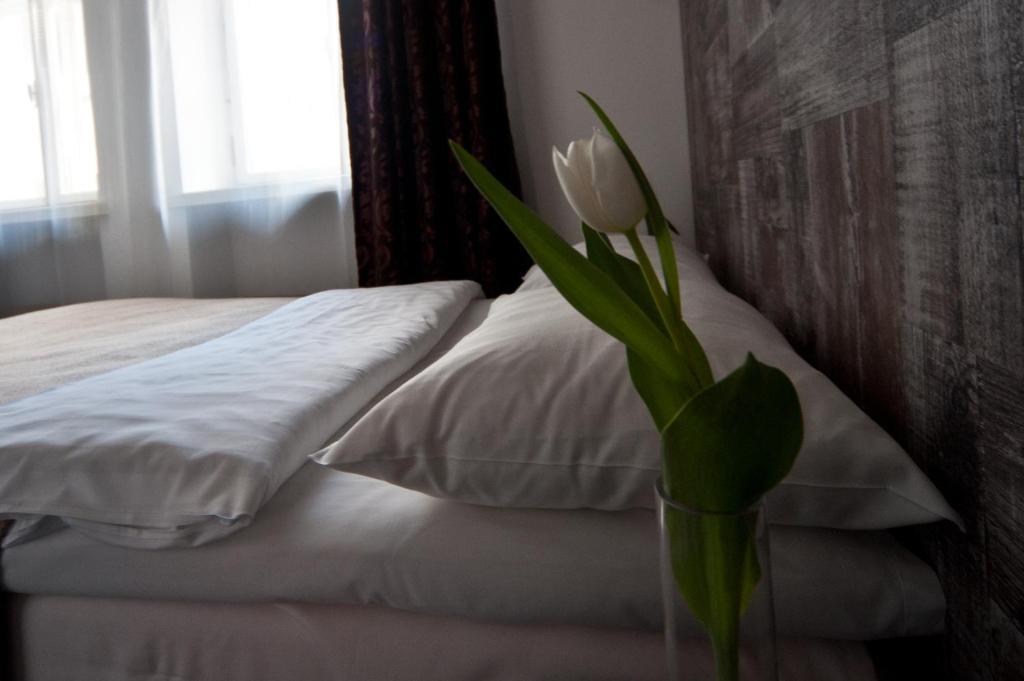 Single Room with Welcome drink
