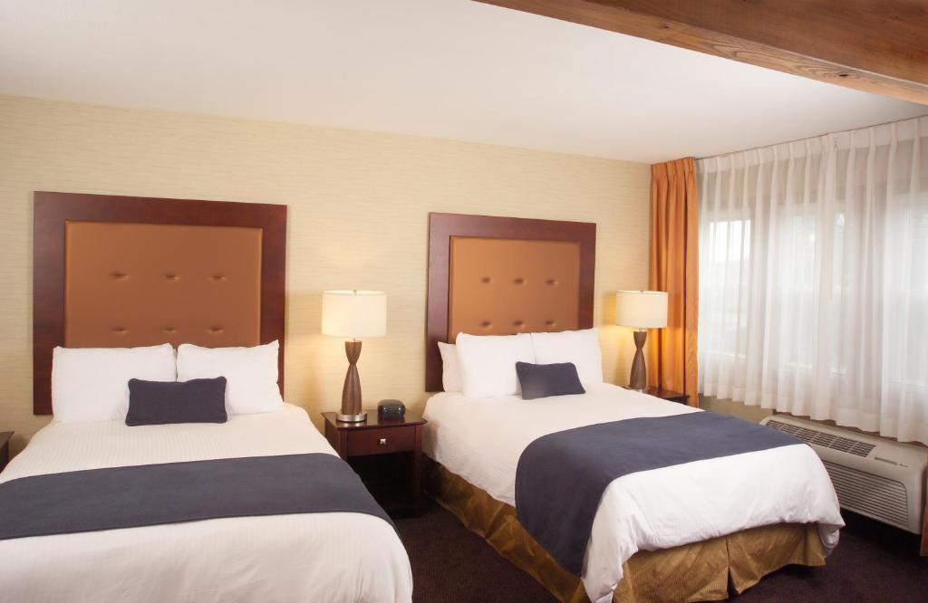 Double Room,61966342:JPEG