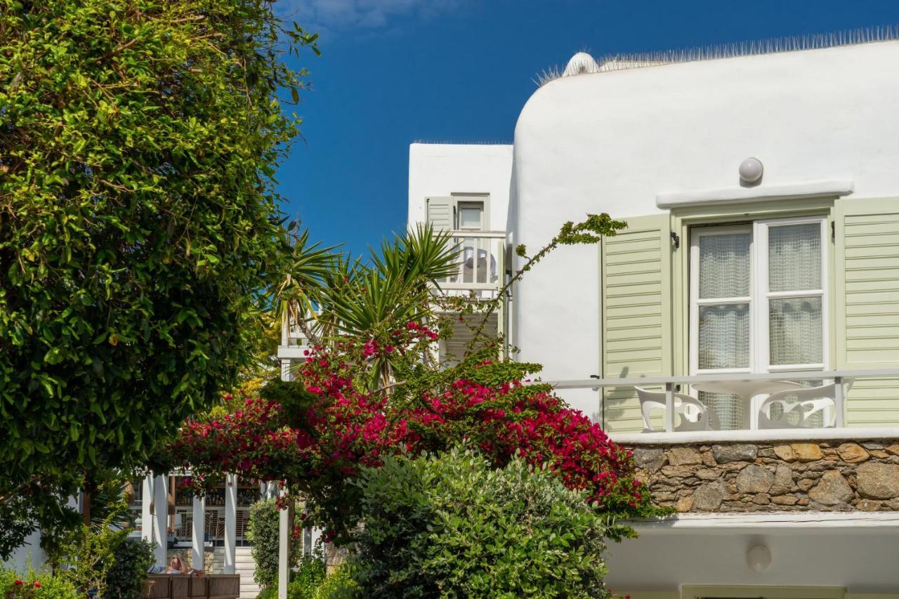 Superior Double Room Garden View