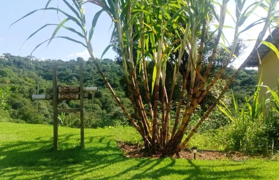 Pousada Mendonça-1