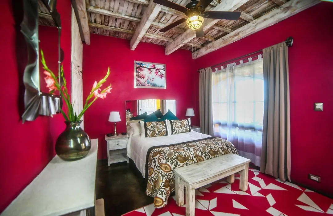 View Hotel Boutique-1