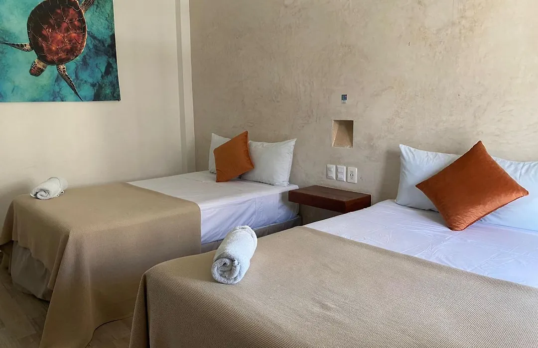 Hotel Pelecanus Suites Holbox-1