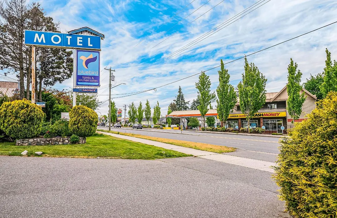 Bluebird Motel-1