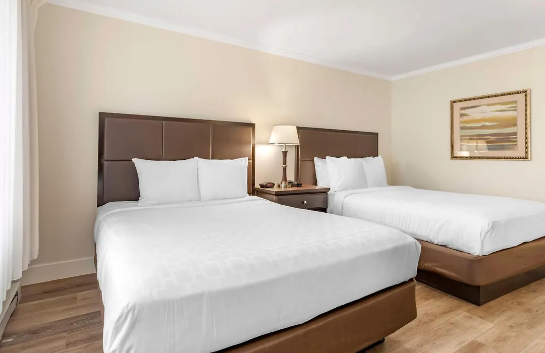 Best Western Carmel'S Town House Lodge-1