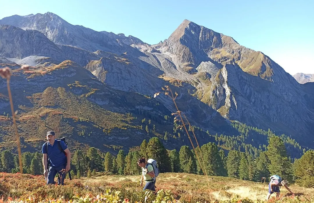 Natur- & Wanderhotel Tuxertal-1