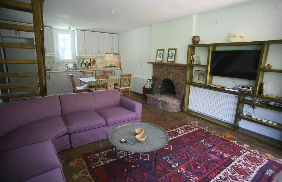 Beta Home Sapanca-1