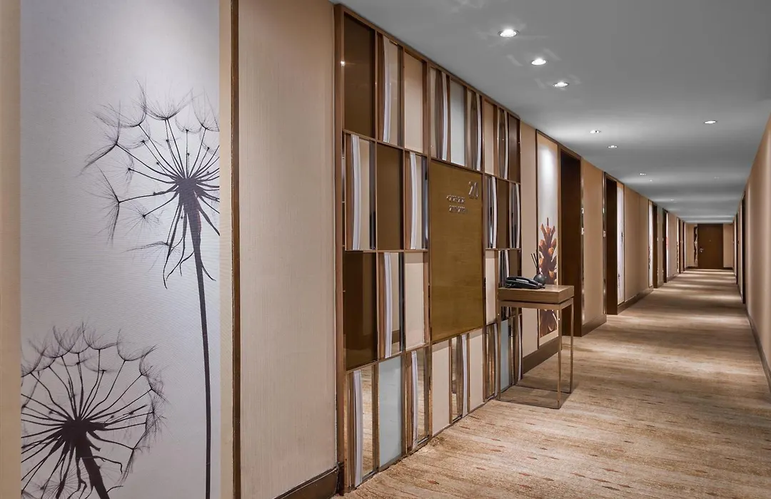 Four Points By Sheraton Shanghai, Daning-1