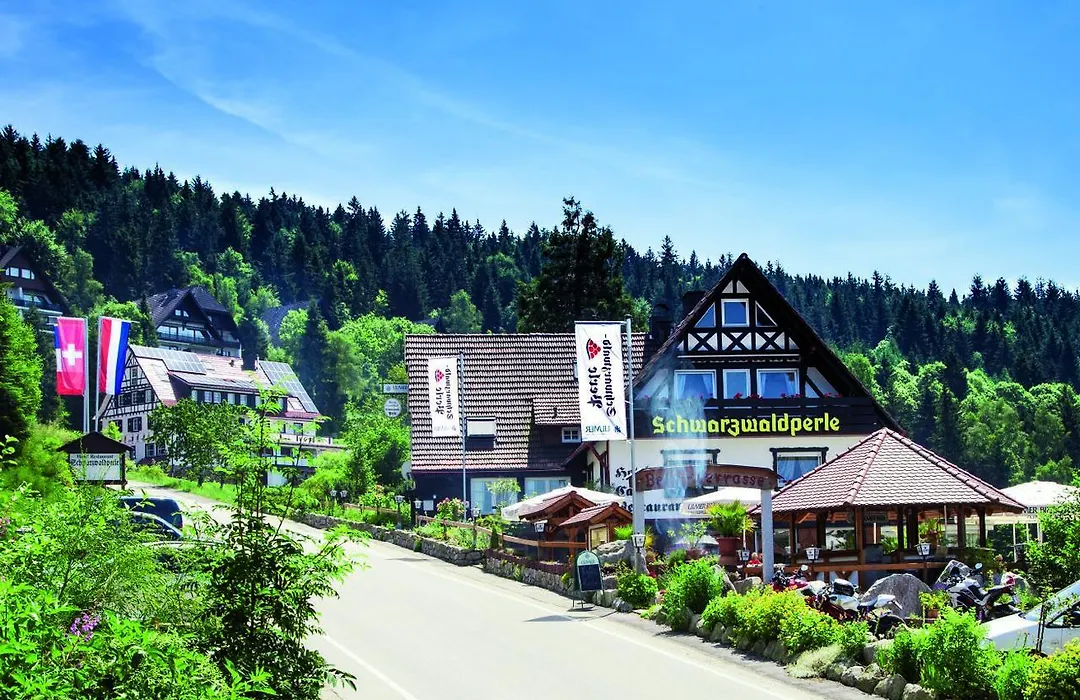 Hotel-Berggasthof Schwarzwaldperle-1