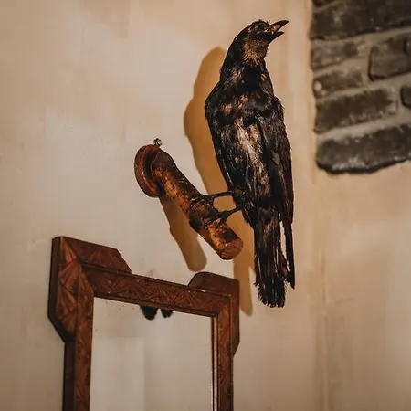 Le Fantome De Berthe Logement-Attraction Insolite-2