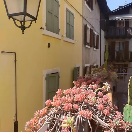 La tana dell'artista-2