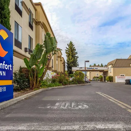Comfort Inn Redwood City-2