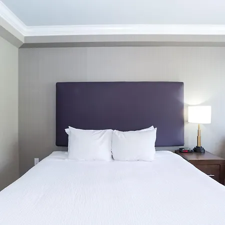 Sandman Hotel & Suites Calgary South-3