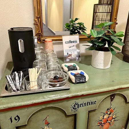 Hotel Jardin Bern-2