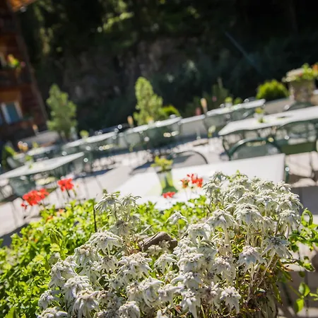 Hotel Zum See-2