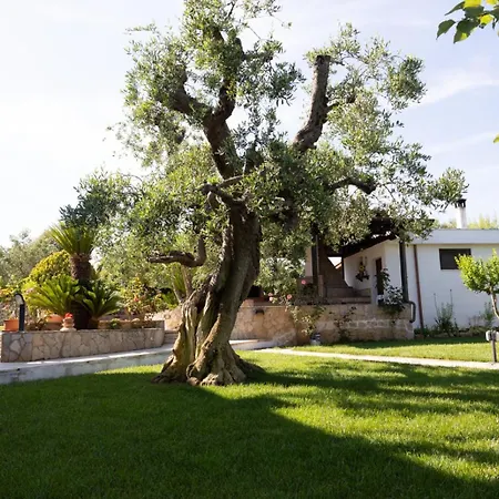 Bed & Breakfast Dei Colli-2