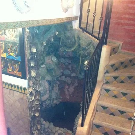 Riad Tarik-2