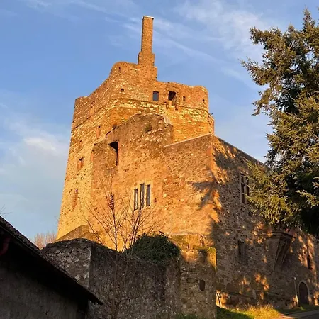Burg Hermannstein - Rittersaal-3