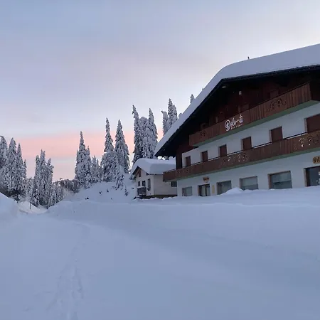 Hotel Dolomiti Des Alpes-2