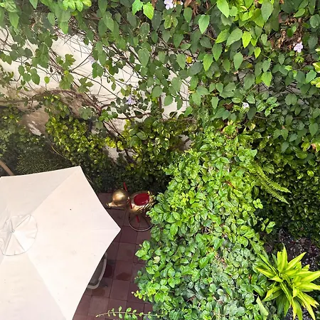Casa Bugambilia - Alma Hotels-2