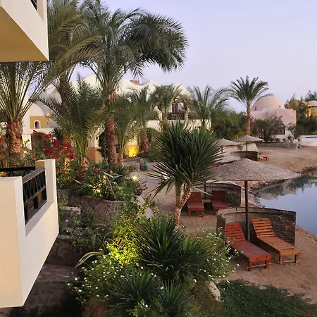 Dawar El Omda (Adults Only)-2
