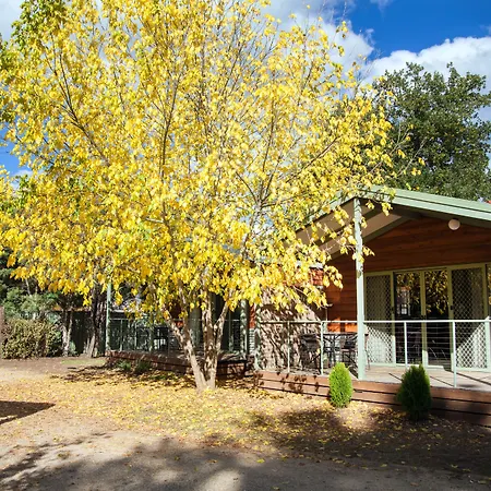 Big4 Tasman Holiday Parks - Bright-2