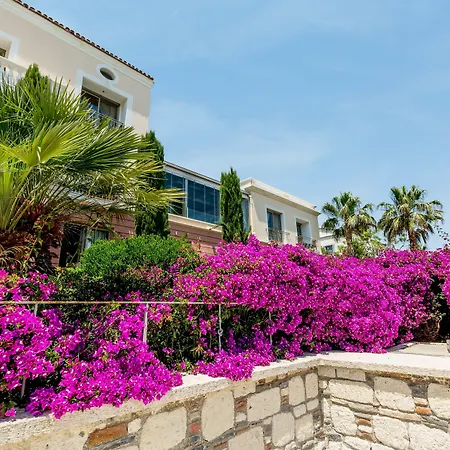 Antmare Hotel-2