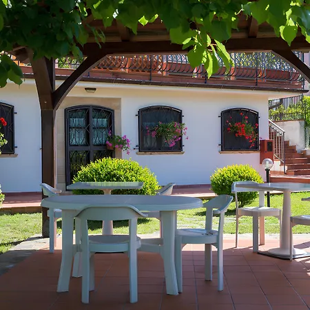 B&B Hibiscus-3