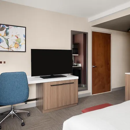 Hilton Garden Inn West 35Th Street-3