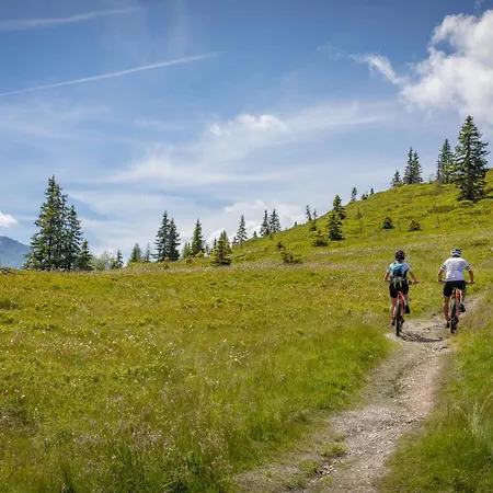 Zillertal Suites Fügen by ALPS RESORTS-3