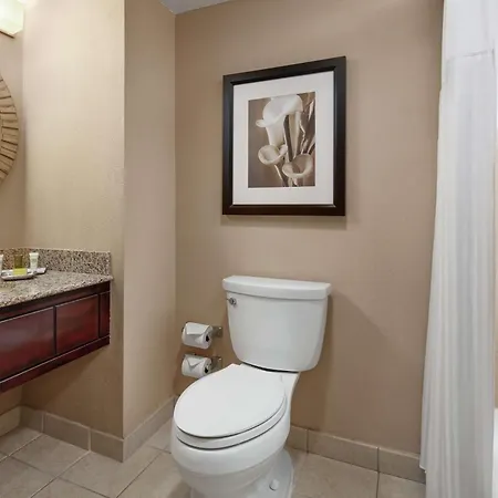 Hilton Orlando Lake Buena Vista - Disney Springs™ Area-2