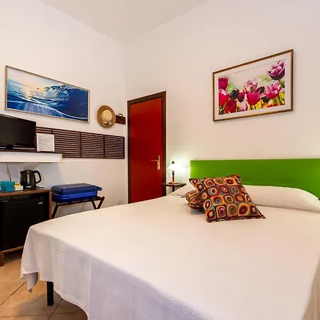 B&B Hibiscus-3