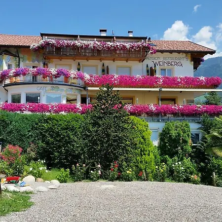 Pension Weinberg-3