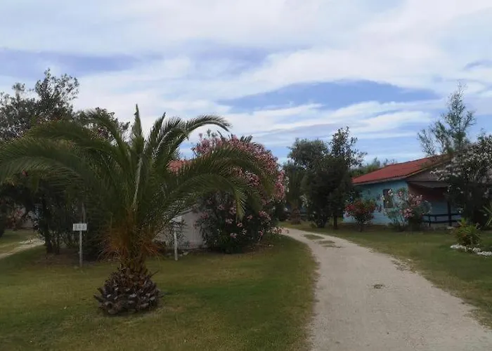 Maronda Camping