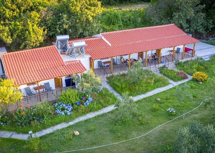 Alekas Studios