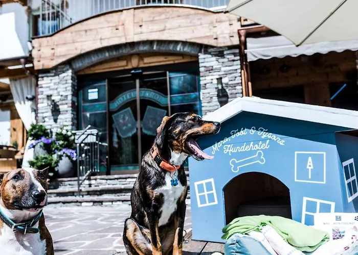 Alpenhotel Tyrol - B&B - Adults Only - Alpines Lifestylehotel Mit Naturspa & Wellness