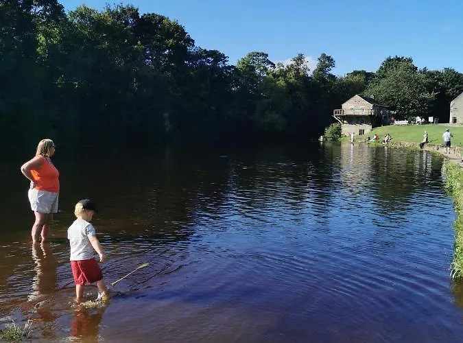 Rustling Pines At Knaresborough Lido