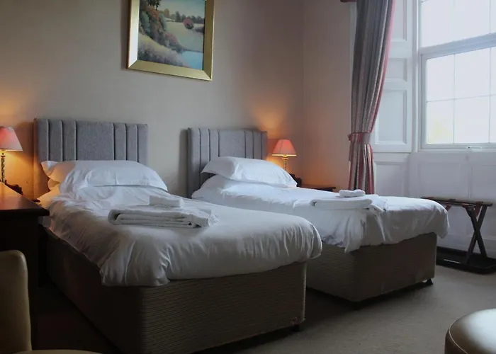 The Buck Hotel
